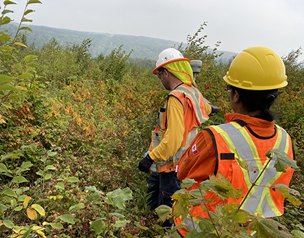 A couple of workers wearing safety jackets and helmets walking in a lush green area