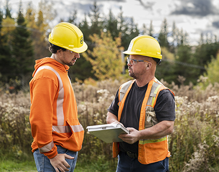 Two workers earing safety helmets and jackets appear to be talking to each other in a park like setting which is lush green