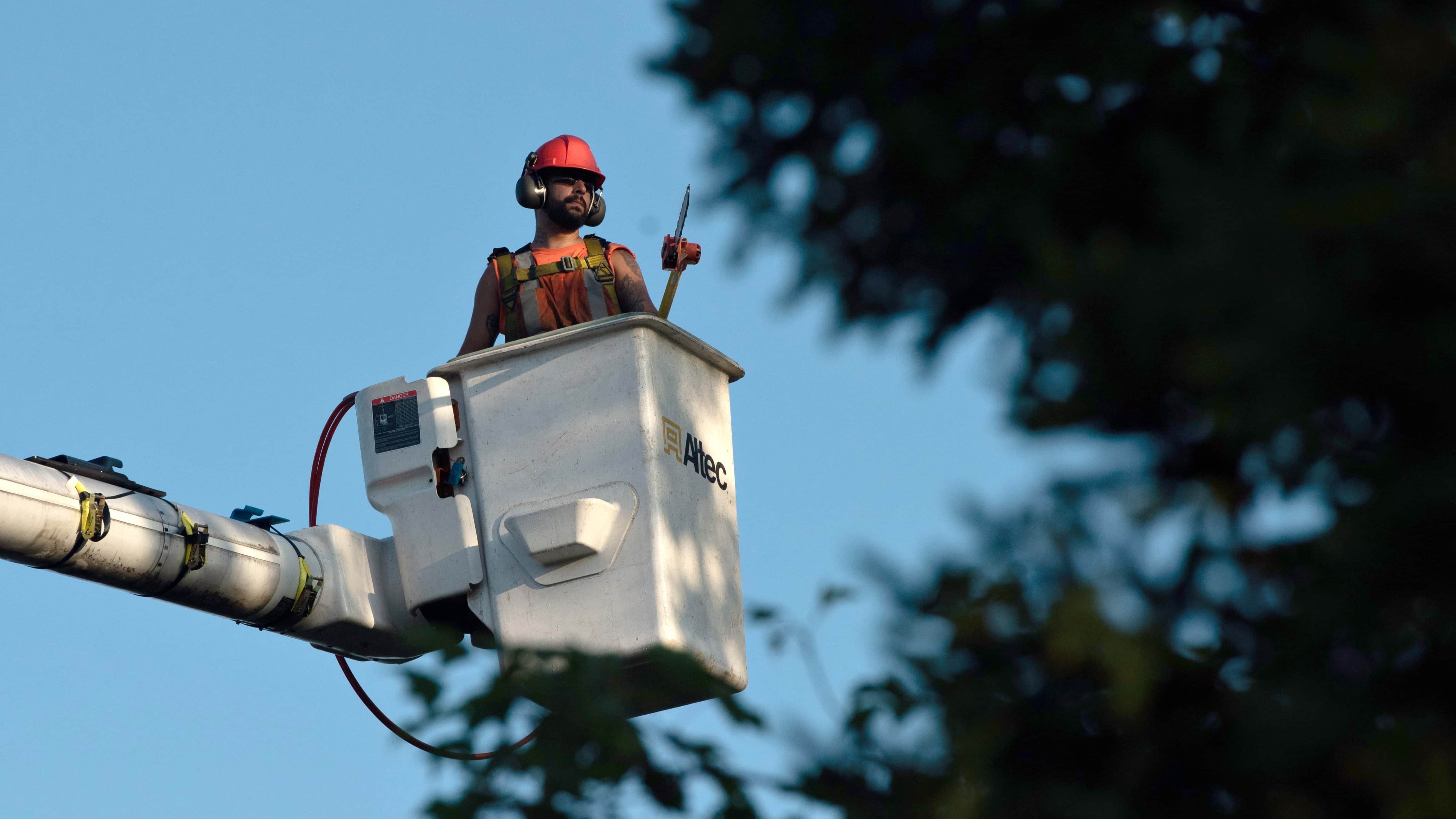 Tree Trimming Brighten